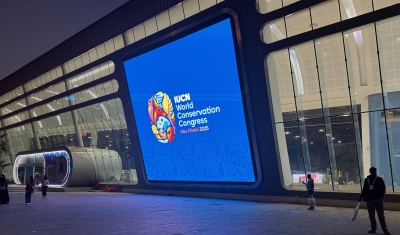 Local Financing, Global Impact: Reflections from the World Conservation Congress 2025