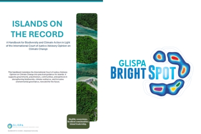 ISLANDS ON THE RECORD: A Handbook for Biodiversity and Climate Action in Light of the ICJ-AO on Climate Change